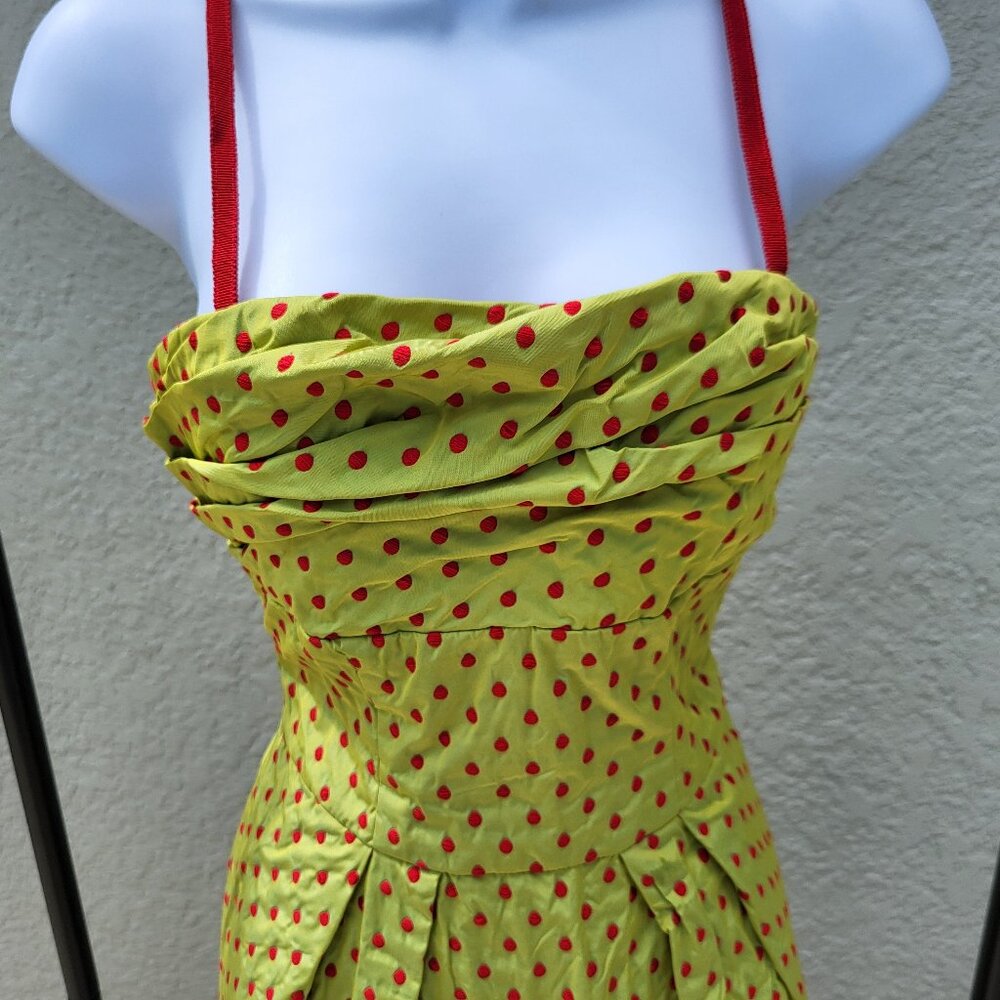 HOBBS Retro Embroidered Polka-Dot Tank Dress Sz 4